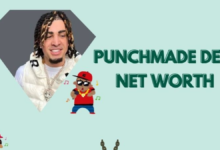 Punchmade dev net worth