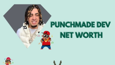 Punchmade dev net worth