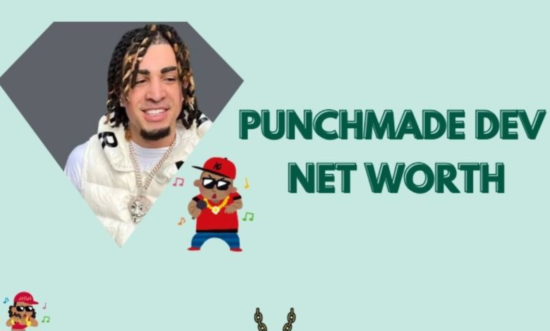 Punchmade dev net worth