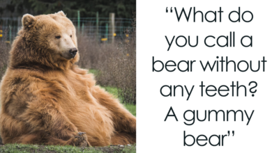 Bear Jokes for Kids: The Ultimate Collection of Fun and Laughter